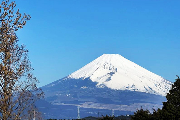 四季折々の富士山も楽しめます